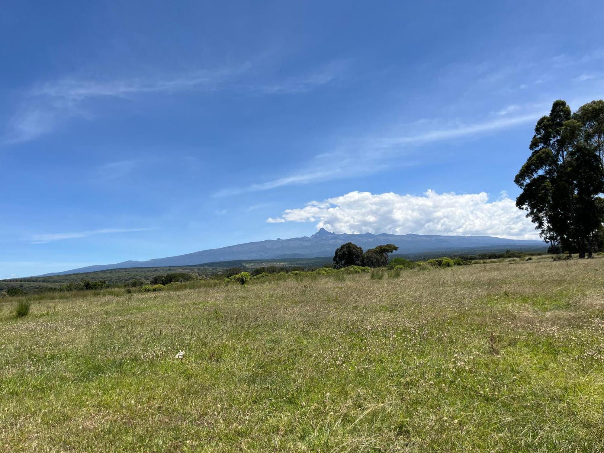 Hotel Rafiki House Nanyuki Exterior foto
